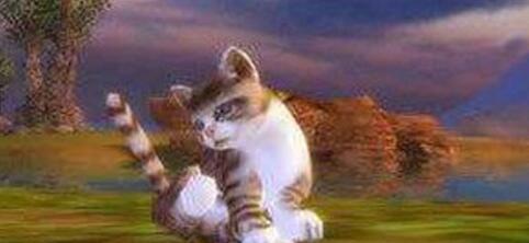 完美世界手游梅花猫宠物寻找位置