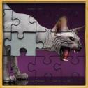 斯芬克斯猫拼图Sphynx cats jigsaw puzzle