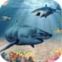 头条游戏深海鲨鱼养殖