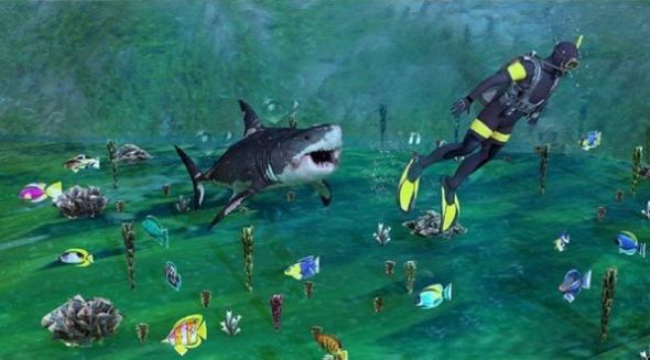 大陆鲨模拟器