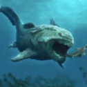 海底大猎杀鲨鱼生存进化