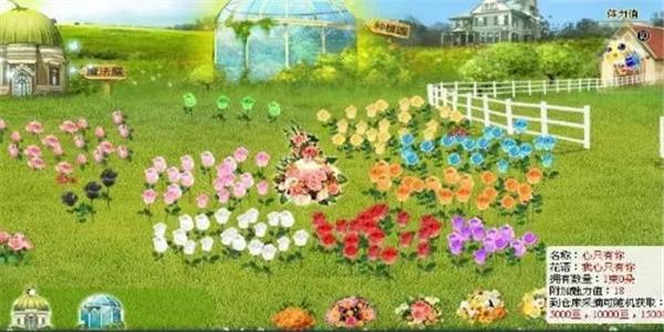 模拟养花种植的游戏