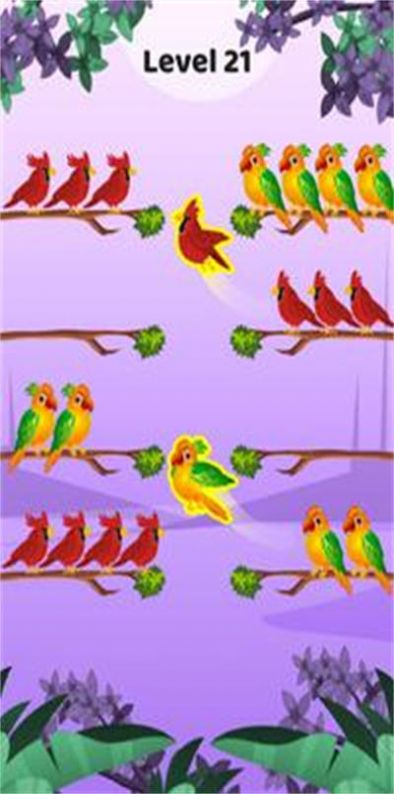鸟类颜色排序截图