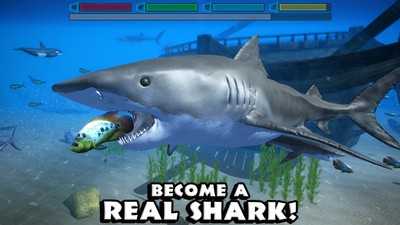 真正的鲨鱼模拟器截图
