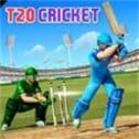 T20世界板球比赛