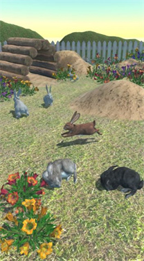 兔子朋友截图
