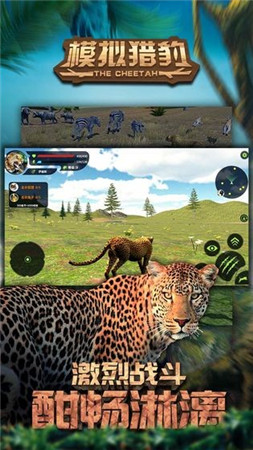 模拟猎豹截图