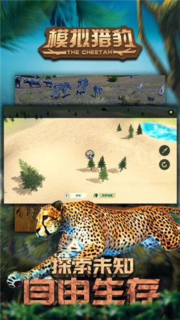 模拟猎豹截图