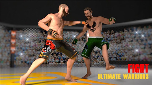 终极拳击MMA战士iOS版截图