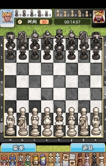 国际象棋大师汉化版截图