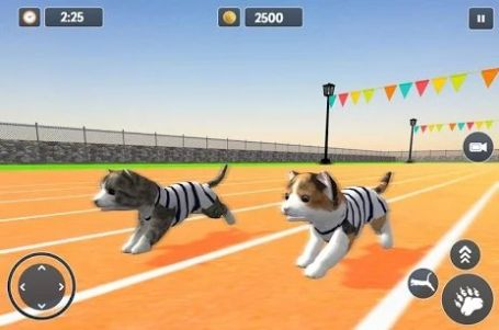 猫咪跑步模拟器2020