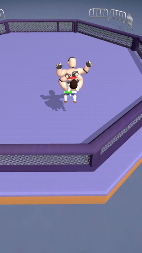 摔跤高手3D截图