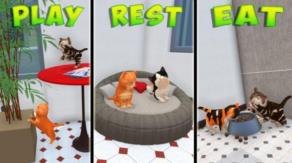 沙雕猫模拟器游戏截图