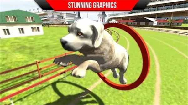 狗狗训练3D截图