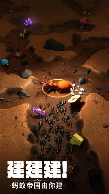 蚂蚁向前冲