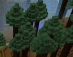 我的世界巨型橡树种植方法介绍详解