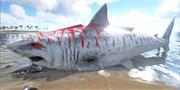 方舟手机版巨齿鲨