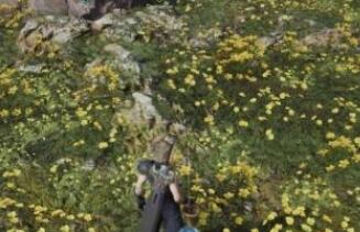 最终幻想7重生山丘上绽放的花刷新地点