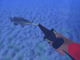 小心猎食者 深海猎手视频介绍